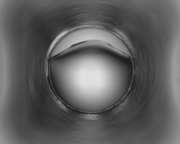 X0000083551180200703091548