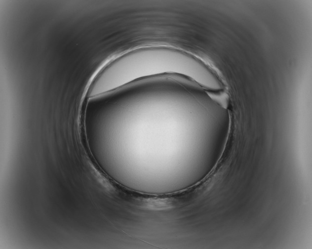 X0000083551181200703091548