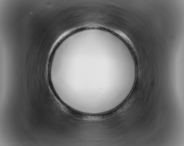X0000083551183200703091548
