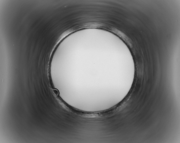 X0000083551186200703091548