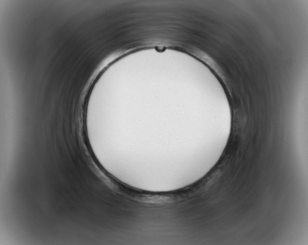 X0000083551187200703091548