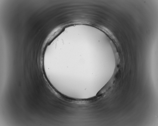 X0000083551188200703091548