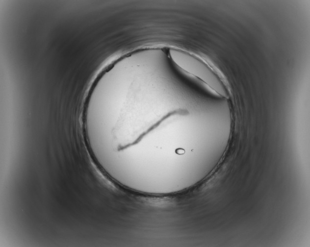 X0000083551189200703091548