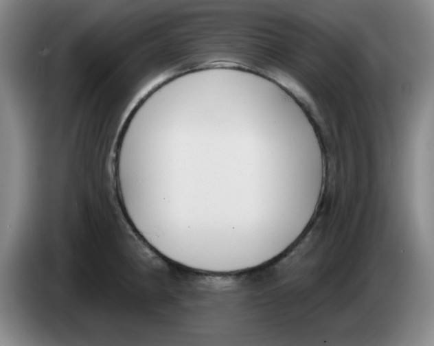 X0000083551190200703091548
