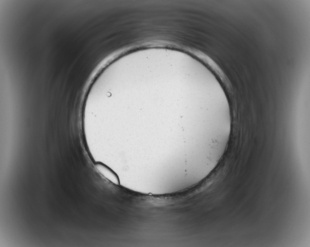 X0000083551191200703091548