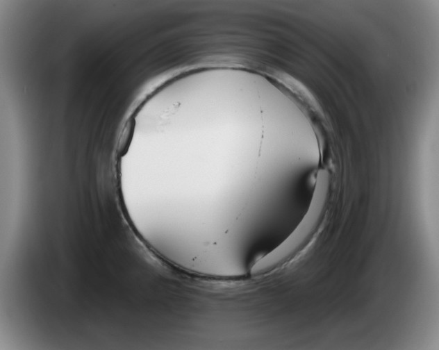 X0000083551192200703091547