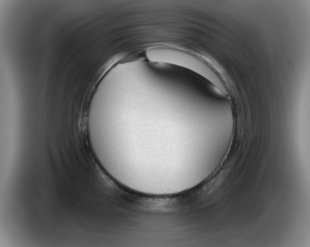 X0000083551193200703091547