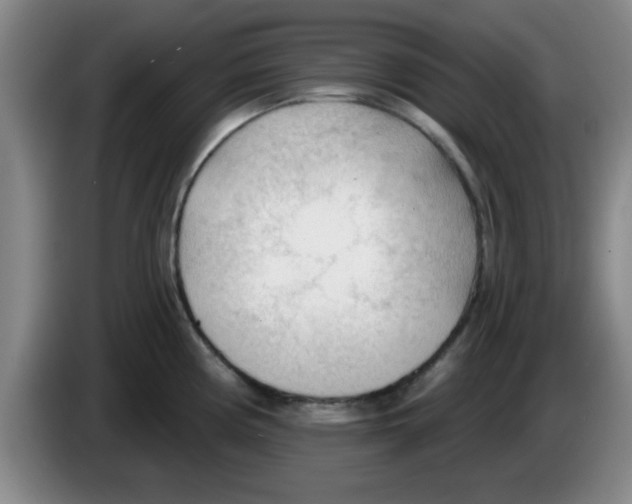 X0000083551194200703091547