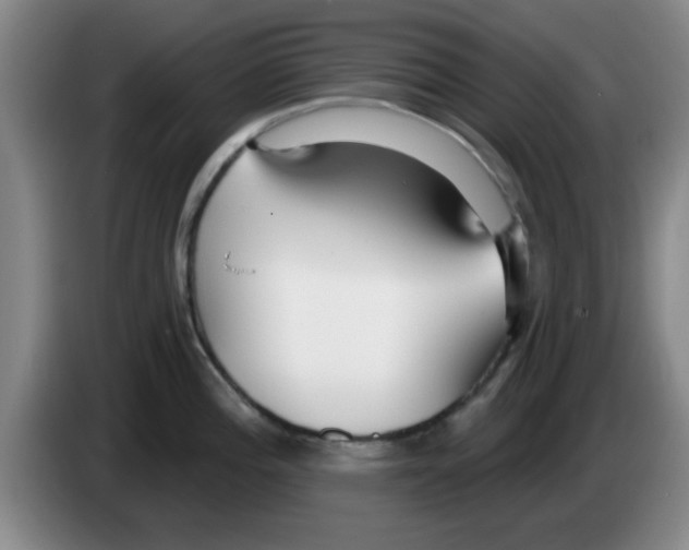 X0000083551196200703091547