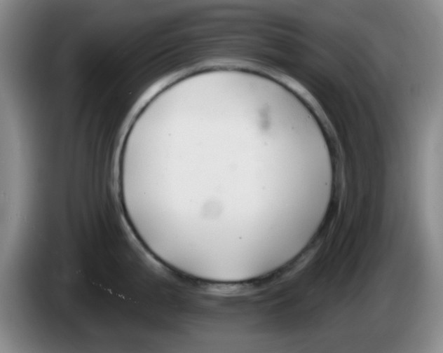 X0000083551199200703091547