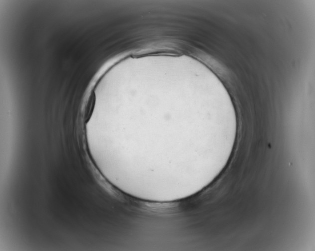 X0000083551200200703091547