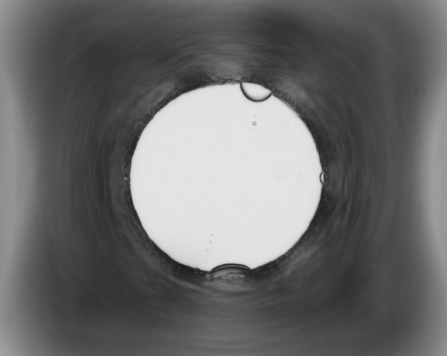 X0000083551201200703091547