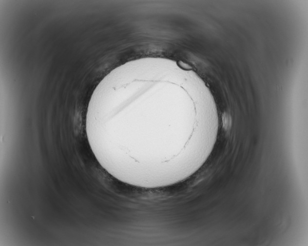 X0000083551203200703091547