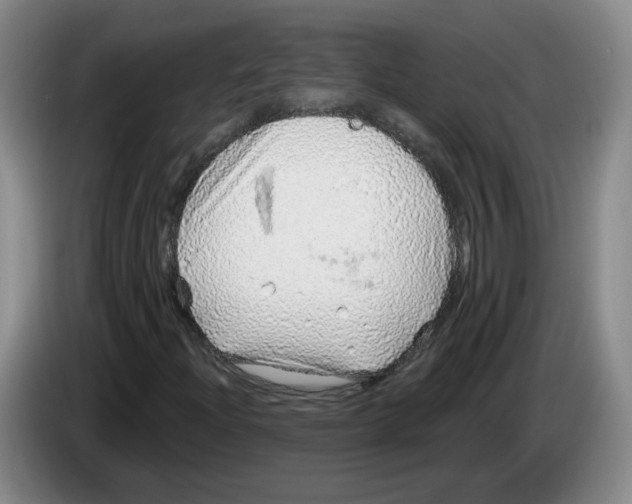 X0000083551204200703091547
