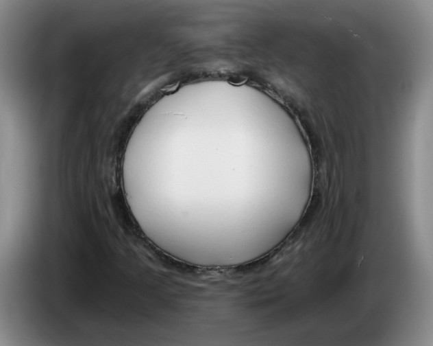X0000083551205200703091547