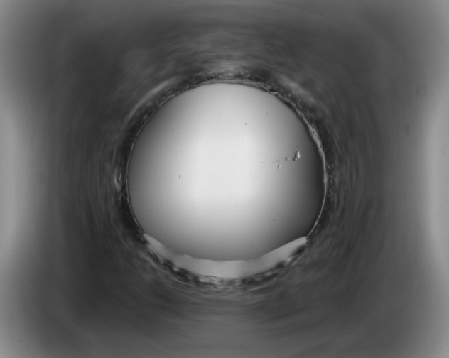 X0000083551206200703091547