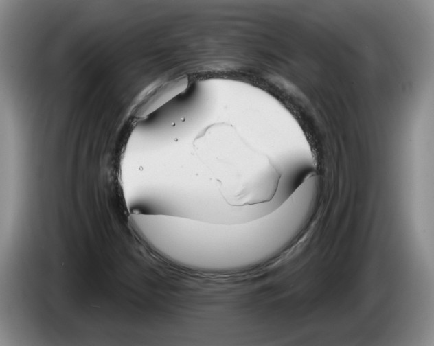 X0000083551210200703091547