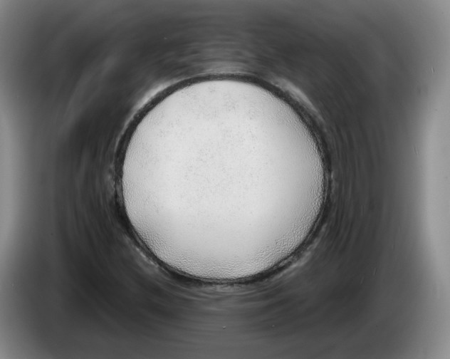 X0000083551212200703091547