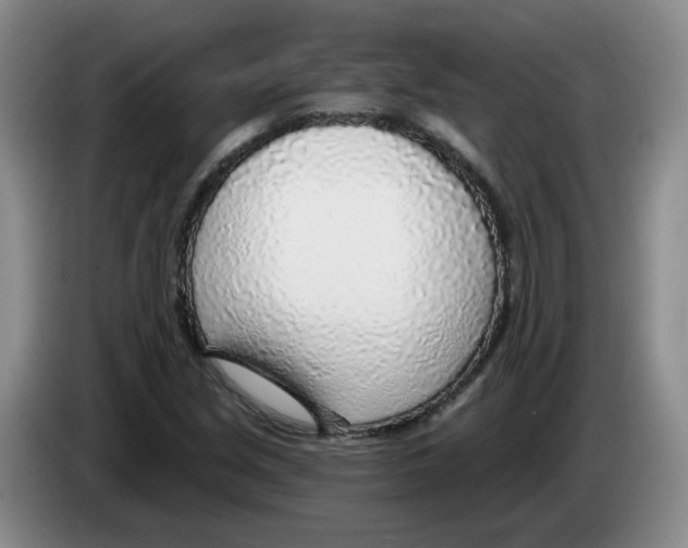 X0000083551213200703091547