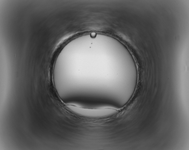 X0000083551214200703091547