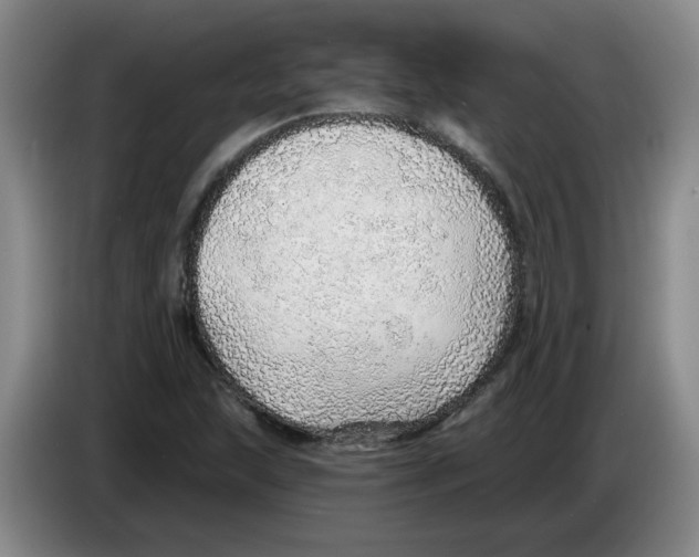 X0000083551215200703091547