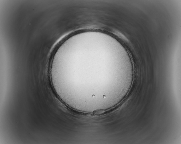 X0000083551216200703091547