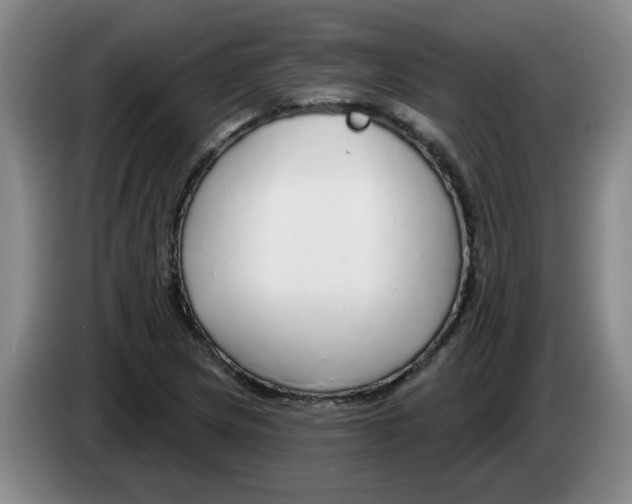 X0000083551217200703091547