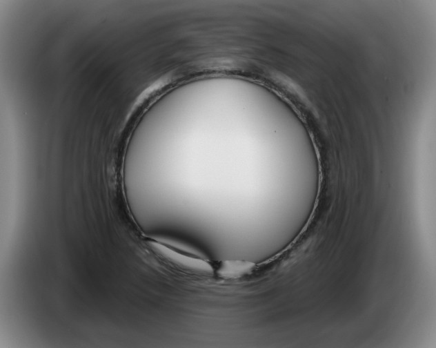 X0000083551218200703091547