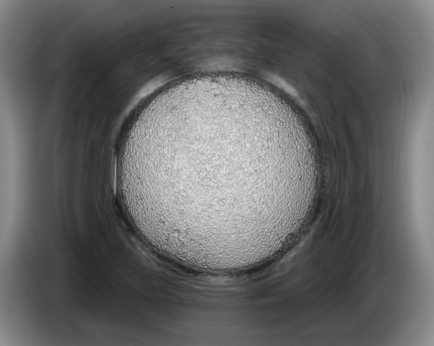 X0000083551219200703091547