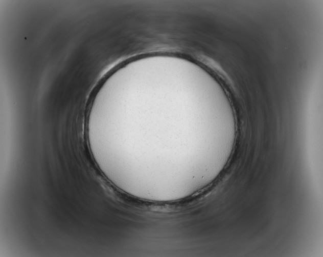 X0000083551220200703091547
