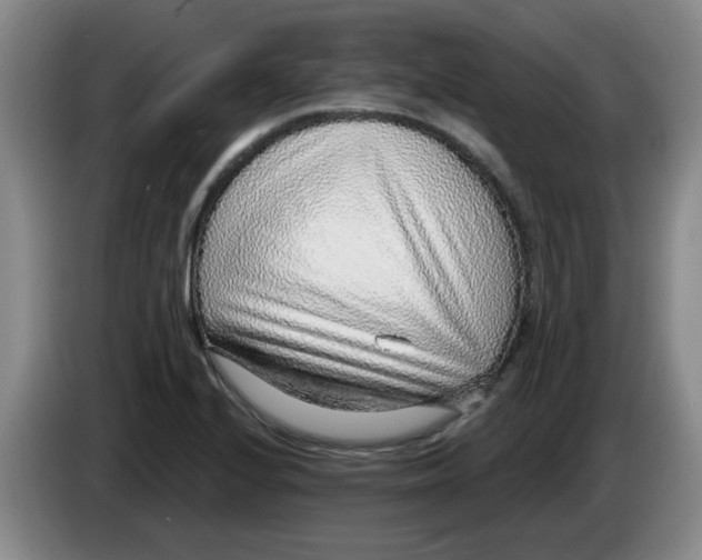 X0000083551224200703091547
