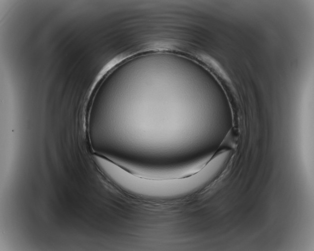 X0000083551226200703091547
