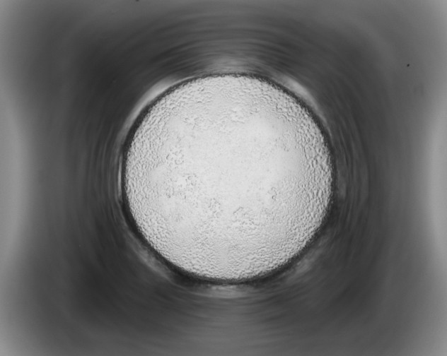 X0000083551227200703091547