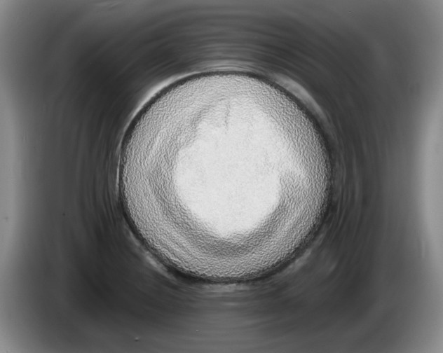 X0000083551228200703091547