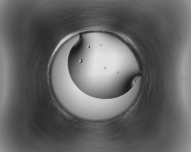 X0000083551230200703091547