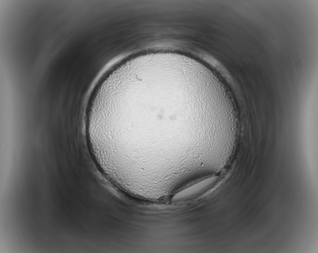 X0000083551232200703091547