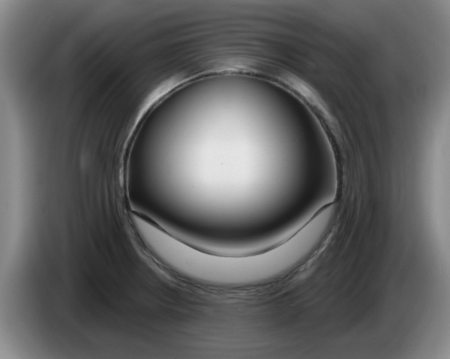 X0000083551234200703091547
