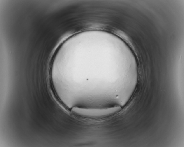 X0000083551235200703091547