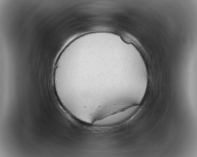 X0000083551236200703091547