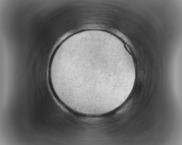 X0000083551237200703091547