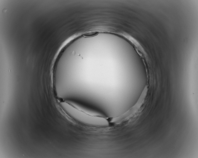 X0000083551238200703091547
