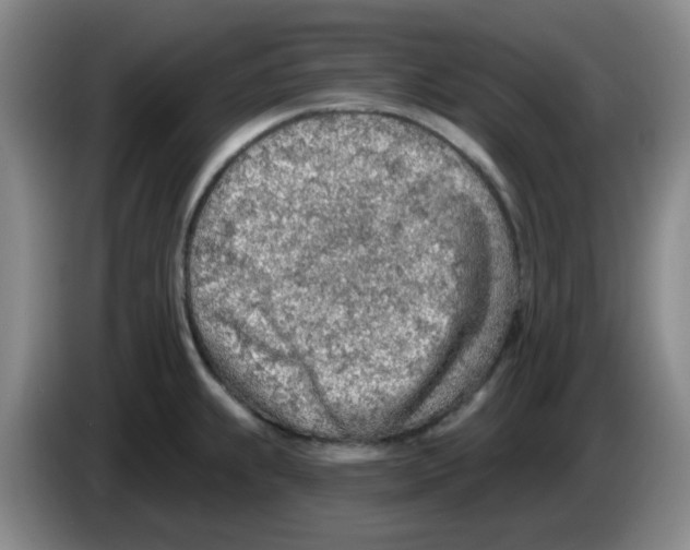 X0000083551239200703091547