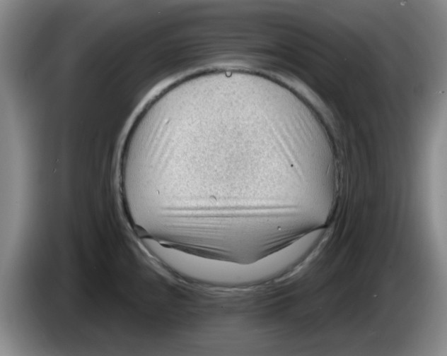 X0000083551240200703091547