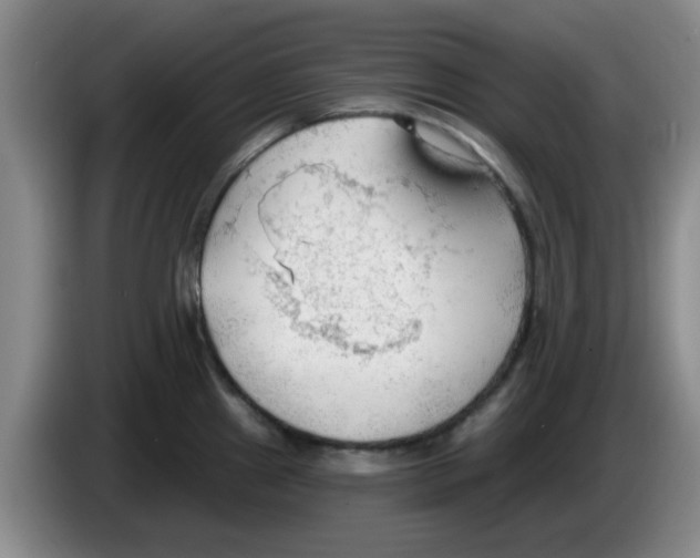 X0000083551241200703091547