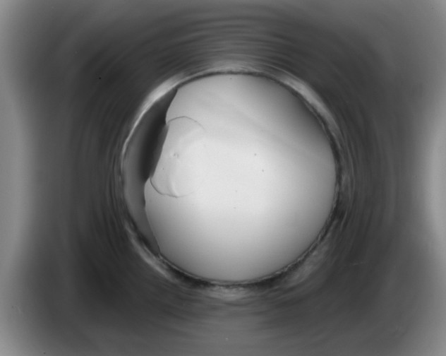 X0000083551242200703091547