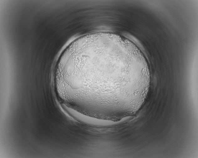 X0000083551243200703091547