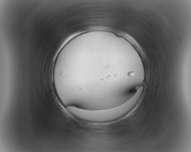 X0000083551244200703091547