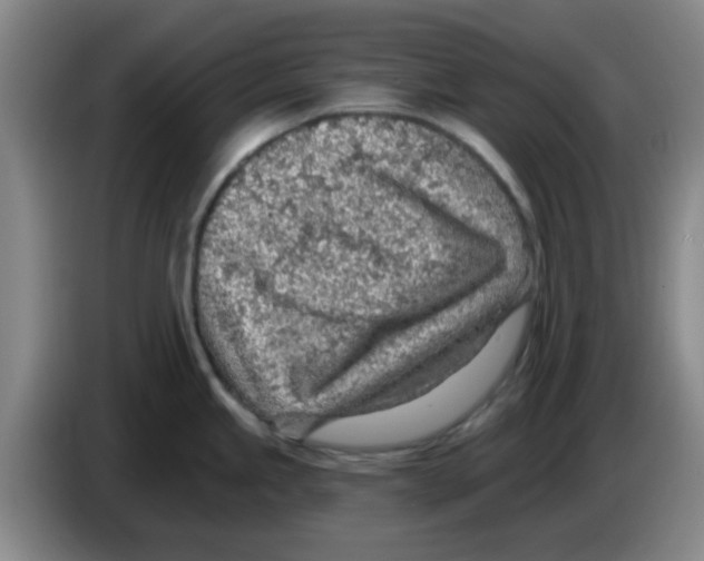 X0000083551245200703091547