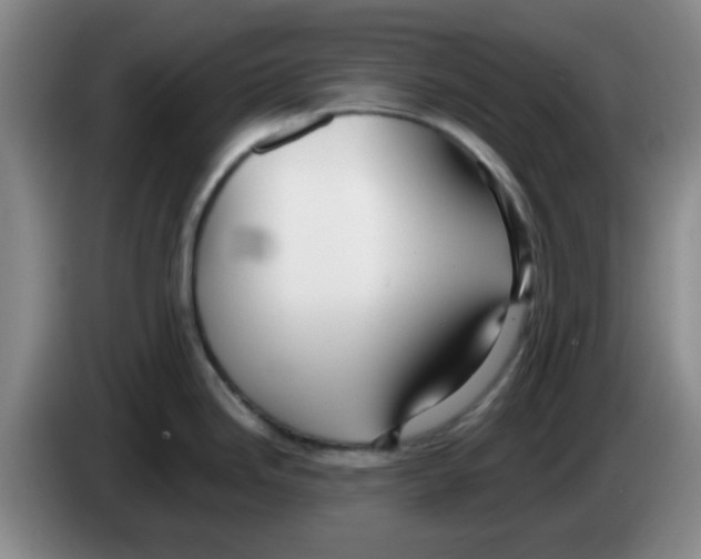 X0000083551246200703091547