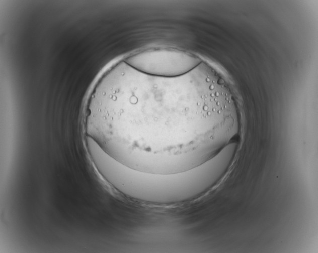 X0000083551248200703091547